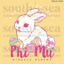 Preview of Design ID 113572