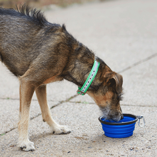 Tucker Travel Bowl SM-7915 - Model Image