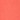 Bright Salmon