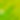 Spiral Yellow and Lime