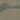 Forest Camouflage