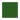 Hunter Green Sash / White Edge