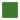 Kelly Green Sash / White Edge