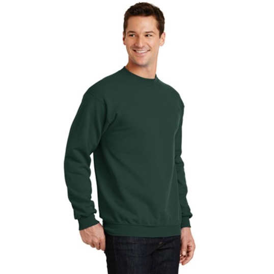 Port and Company Core Fleece Crewneck Sweatshirt PC78 - Model Image